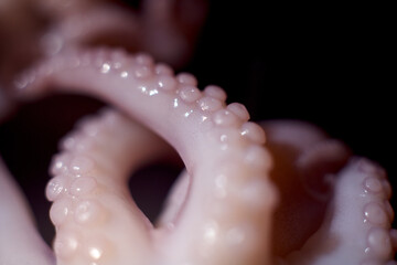 Pickled octopus on a black background.