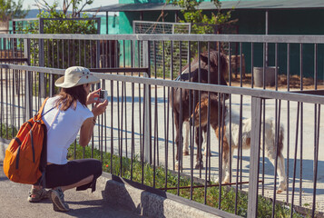 Woman in Zoo near pony