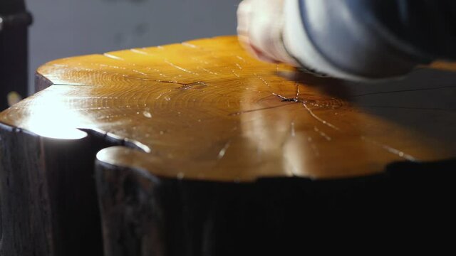 polishing a wooden stump with wood impregnation and shellac. cutting a wooden stump. woodworking concept. wood texture