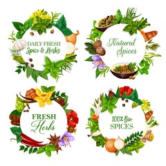 Natural spices and aromatic kitchen herbs round banners. Peppermint, mustard and rosemary, onion, garlic and pepper, coriander, dill and bay leaf, saffron, nutmeg and turmeric, vanilla, anise vector