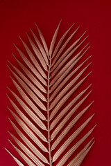 Fototapeta premium Shiny gold glossy leaf of palm tree isolated on red background. Flat lay, top view with copy space. Minimal fashion concept. 