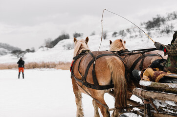horses and cart on snow in winter