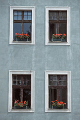 Fototapeta na wymiar Blumenfenster in Stadthaus