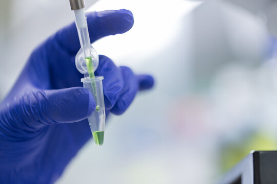 Scientist pepetting solution to dialysis tibe.
