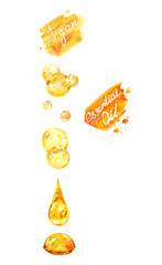 Set Golden Oil Argan Drops. Hand written word splash. Capsule formula serum. Cosmetic Beauty logo emblem label. Natural ingredient carotin butter hair skin care. Close-up watercolor isolated on white