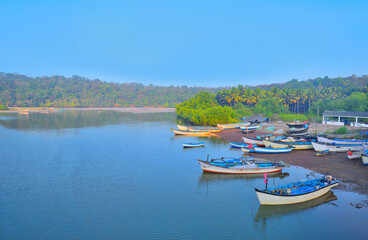 Fototapeta na wymiar Boats kept on a river near Agonda, Goa.