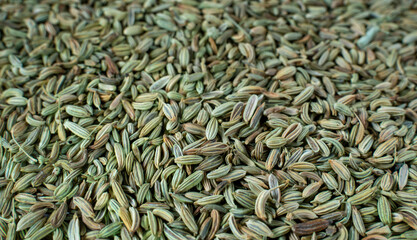 Fennel as a background close up.