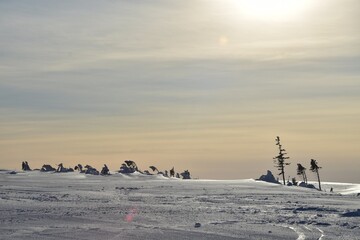 A winter landscape with silhouettes of trees with a nice sky with the sun in the background