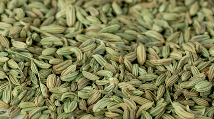 Fennel as a background close up.