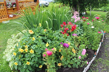 Fototapeta na wymiar garden with flowers