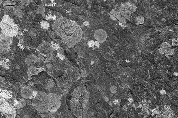 Stone wall grunge style textured close up background stained black and white monochrome image with...