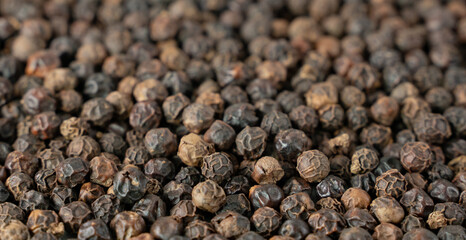 Black pepper grains as background close up.