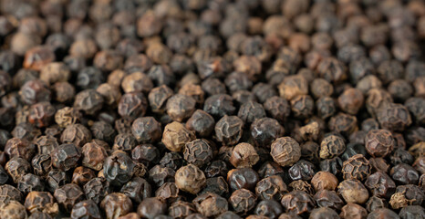 Black pepper grains as background close up.