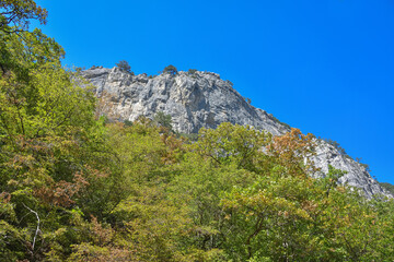 mountain views in greenery, green hills