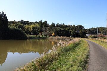 Fototapeta premium 池と田舎の風景