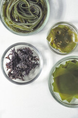 Different types of algae on a white background. Nori, wakame and dried kelp leaf. Micronutrient-rich Asian food ingredients, superfood, close-up

