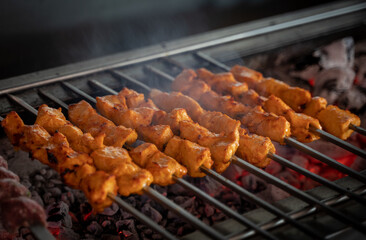 Arabic traditional food Shish taouk on the grill.