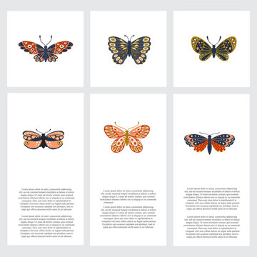 Hand drawn set of cards with butterflies and moths. Colorful collection