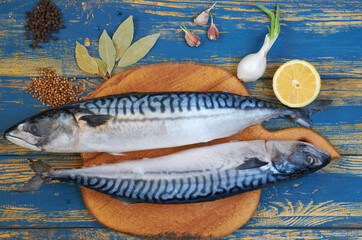 Two mackerel fishes on the wooden board ready for cooking decorated with lemon slices, spices on the blue wooden table. Top view