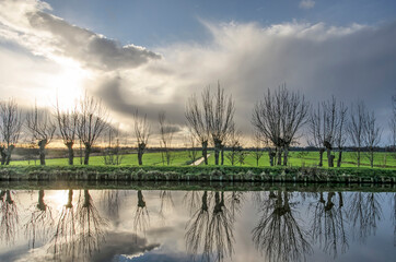 Pollard willows and a dramatic sky reflecting in a canal between Schipluiden and Vlaardingen, The Netherlands, with water level at a higher elevation than the land beyond