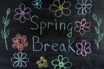 Spring break with flowers written in colorful chalk on a black chalkboard. Spring Break Concept
