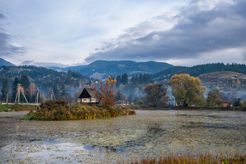 Mountain river with autumn leaves. Carpathian, Ukraine