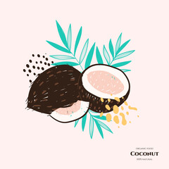 Vector doodle coconut. Hand drawn illustrations.
