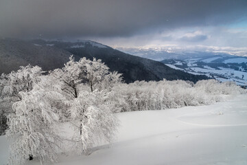 Winter landscape in mountains. Carpathian, Ukraine