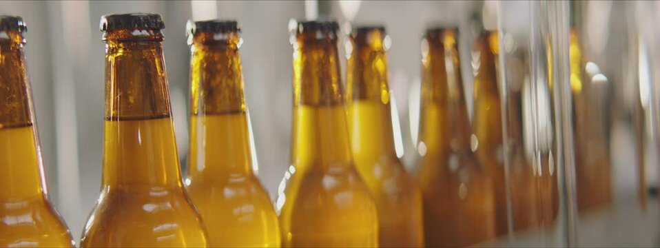 Beer bottles moving on the conveyor belt in a factory. Close-up video of bottlenecks. Factory, brewery concept.