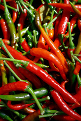 basket of red and green chilli pepper 