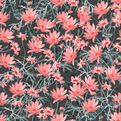 Fototapeta na wymiar Chamomile flowers seamless pattern.