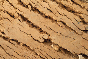 Slice of the earth layer. Earthy texture.