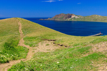 高山植物咲く初夏の礼文島