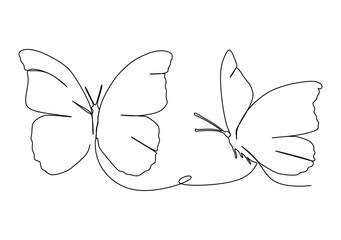 a Couple of butterflies. Butterfly illustration - Continuous one line drawing