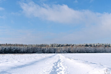 Fototapeta na wymiar Snow-covered road to the forest in the background, visible blue sky. Winter in Poland, snowfall.