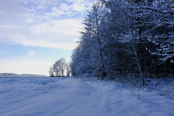 Snow-covered road next to the forest. Winter in Poland, Silesia.