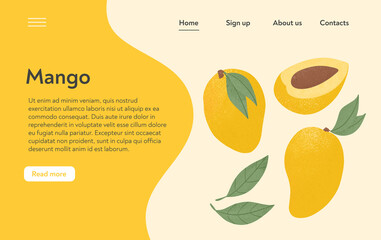 Ripe mango, whole, and half sliced mango. Sweet mango fruits vector hand drawn landing page design.