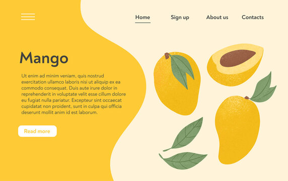 Ripe Mango, Whole, And Half Sliced Mango. Sweet Mango Fruits Vector Hand Drawn Landing Page Design.