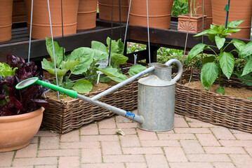 Gardening - watering can and flower pots