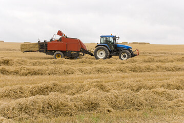 Obraz premium Harvest time in Wiltshire