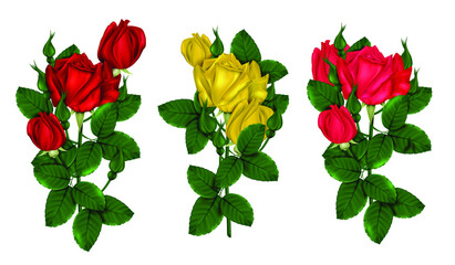 Collection of bright 3D roses on a white background. Red and yellow roses with green foliage. Roses from a blooming garden. Vector illustration