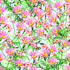 Chamomile flowers seamless pattern.
