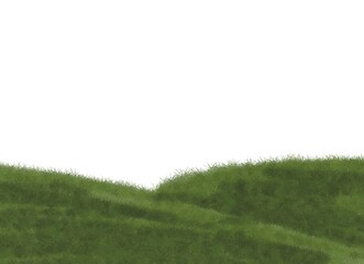 Green grass hills on a white background. Grass illustration for design