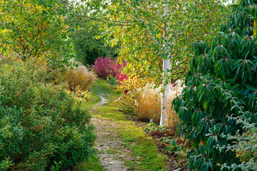 Woodland garden in Essex
