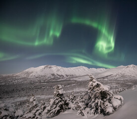 Full moon auroras