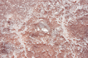Pink salt crystals on the salt lake close up. Macro image, shallow depth of field. Abstract nature background. Detailed texture.