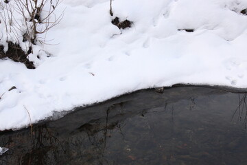 
Snow lies on the banks of the river. The tree and the sun are reflected in the water. Water turns to ice