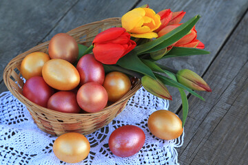 Full basket of colorful Easter eggs close-up with a bouquet of yellow and red tulips on a white tablecloth on a wooden background. Happy Easter