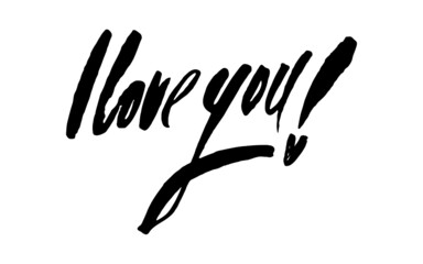 Fototapeta premium i love you vector valentine`s day callygraphy print