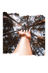 hand pointing to the sky with trees and torn leaf effect at the top and bottom, space to write